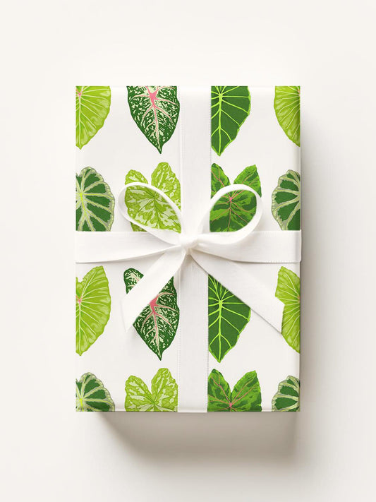 Elephant Ears Leaves Gift Wrap