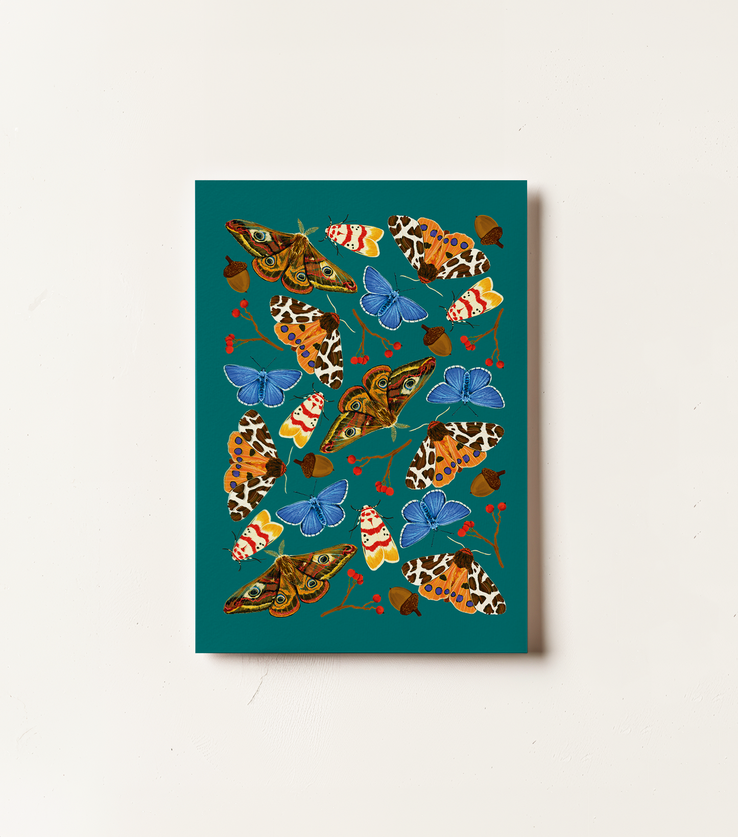 Moths Card