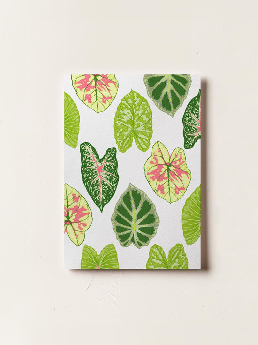 Elephant Ears Leaves Card
