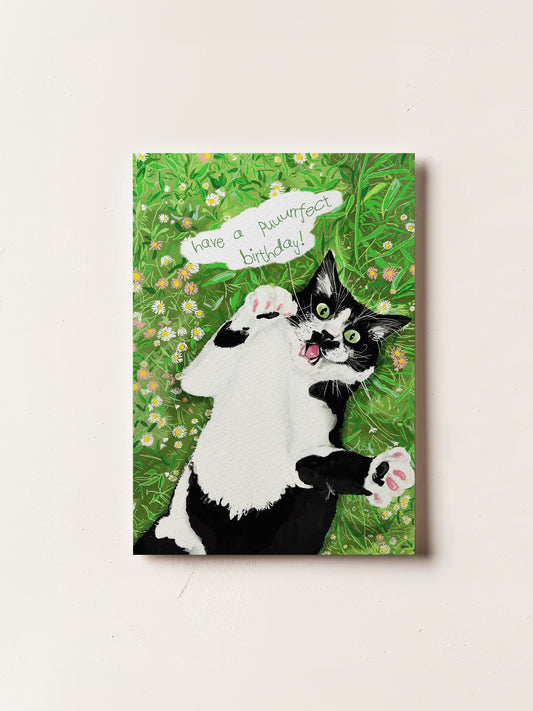 Have A Purfect Birthday Card