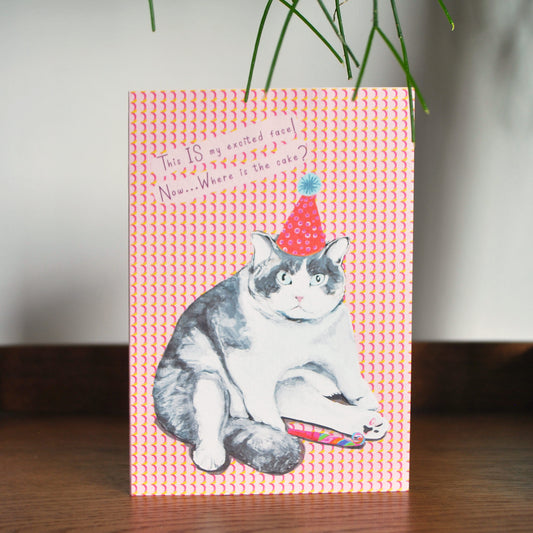 Birthday | Party Grumpy Cat Birthday Card