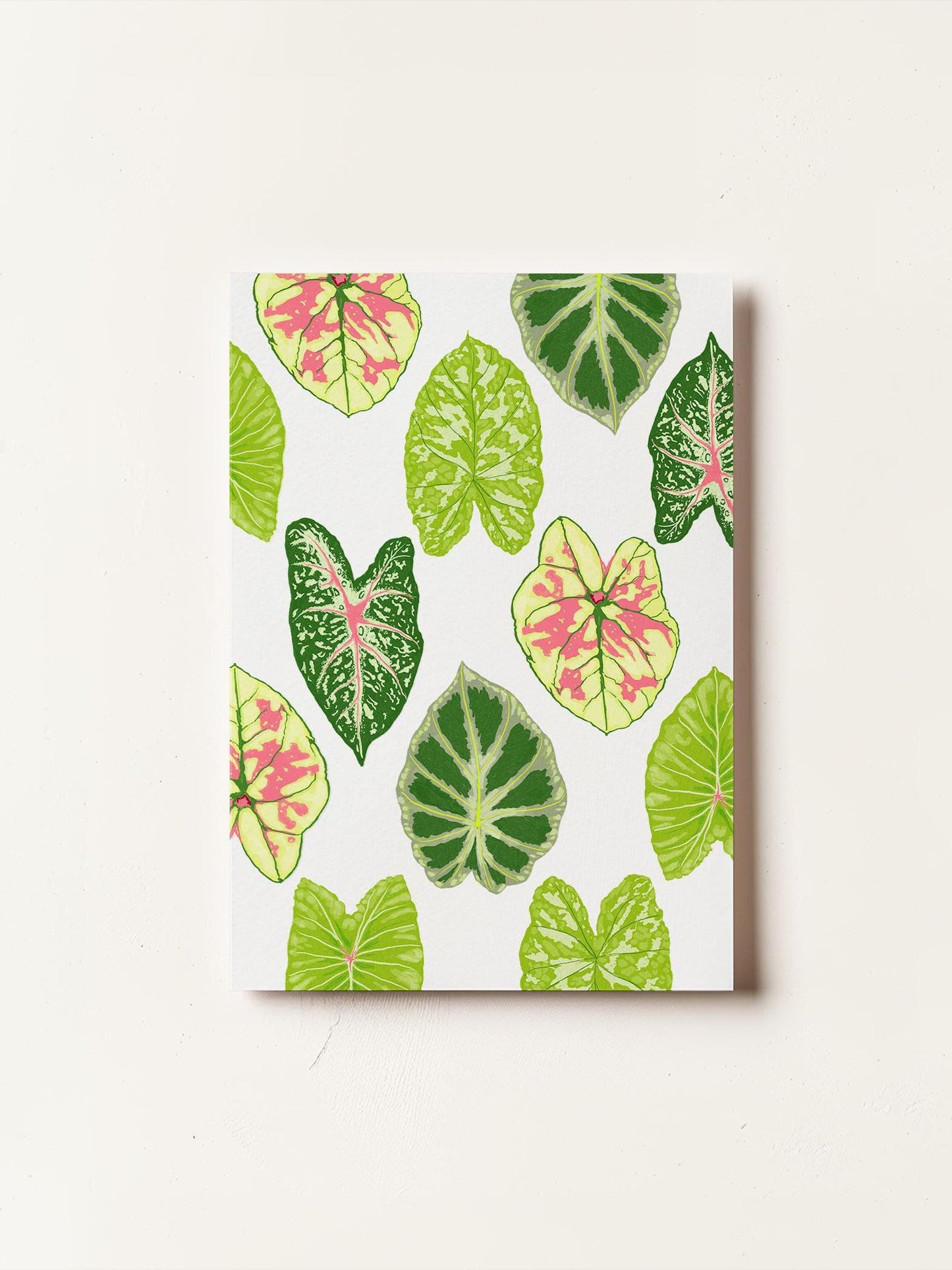 Tropical-Themed Pack of 3 Birthday Cards