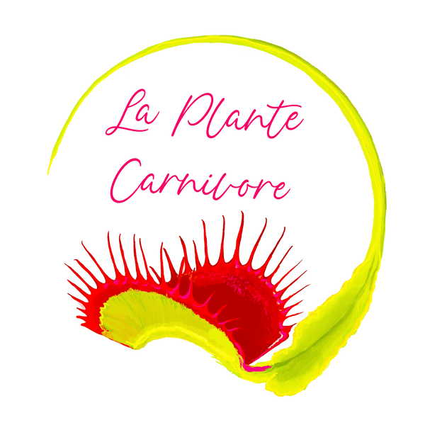 La Plante Carnivore