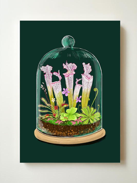 Carnivorous Plants Terrarium Art Print