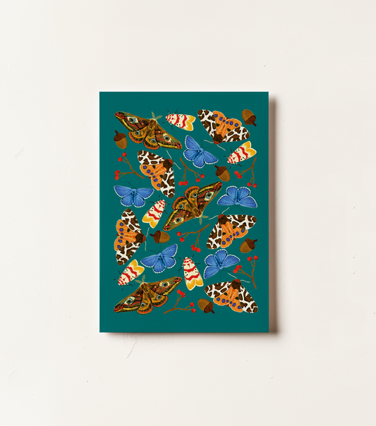 Moths Card