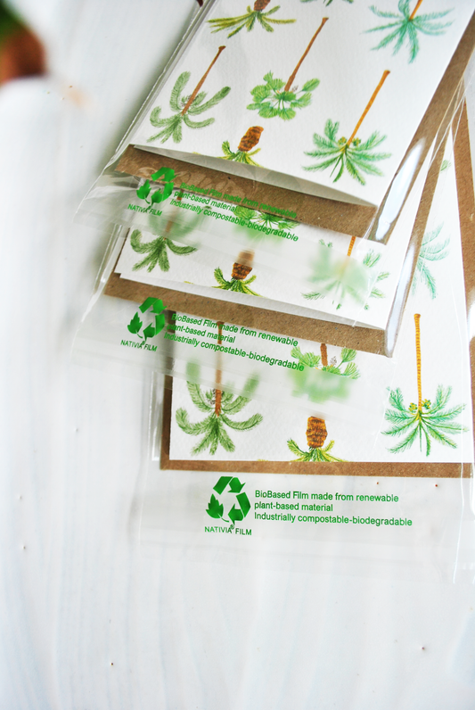 Text-free | Palm Trees Card