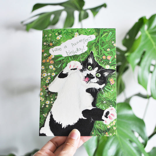 Birthday | Have A Purfect Birthday Card